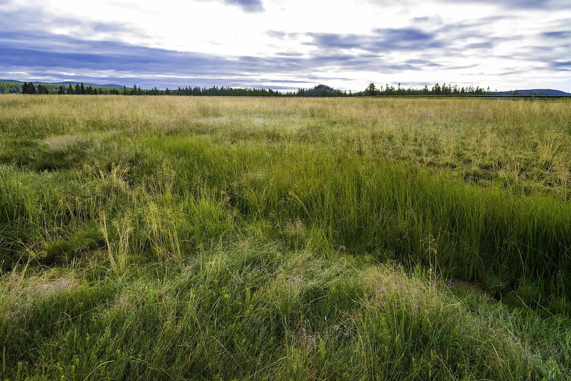 Vacant Land Insurance Massachusetts